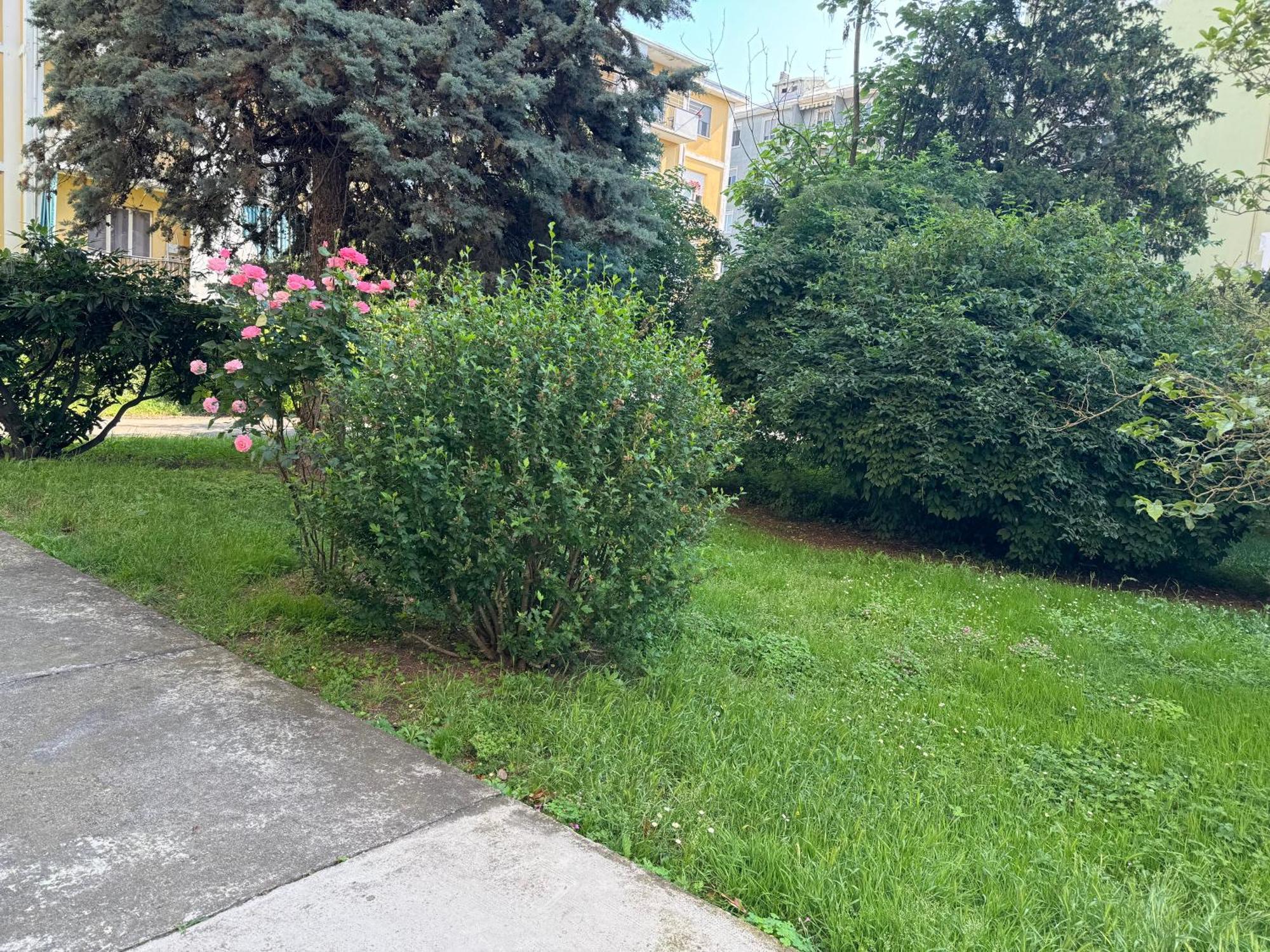 Casa Grivola 29 Apartment แวร์เชลลี ภายนอก รูปภาพ